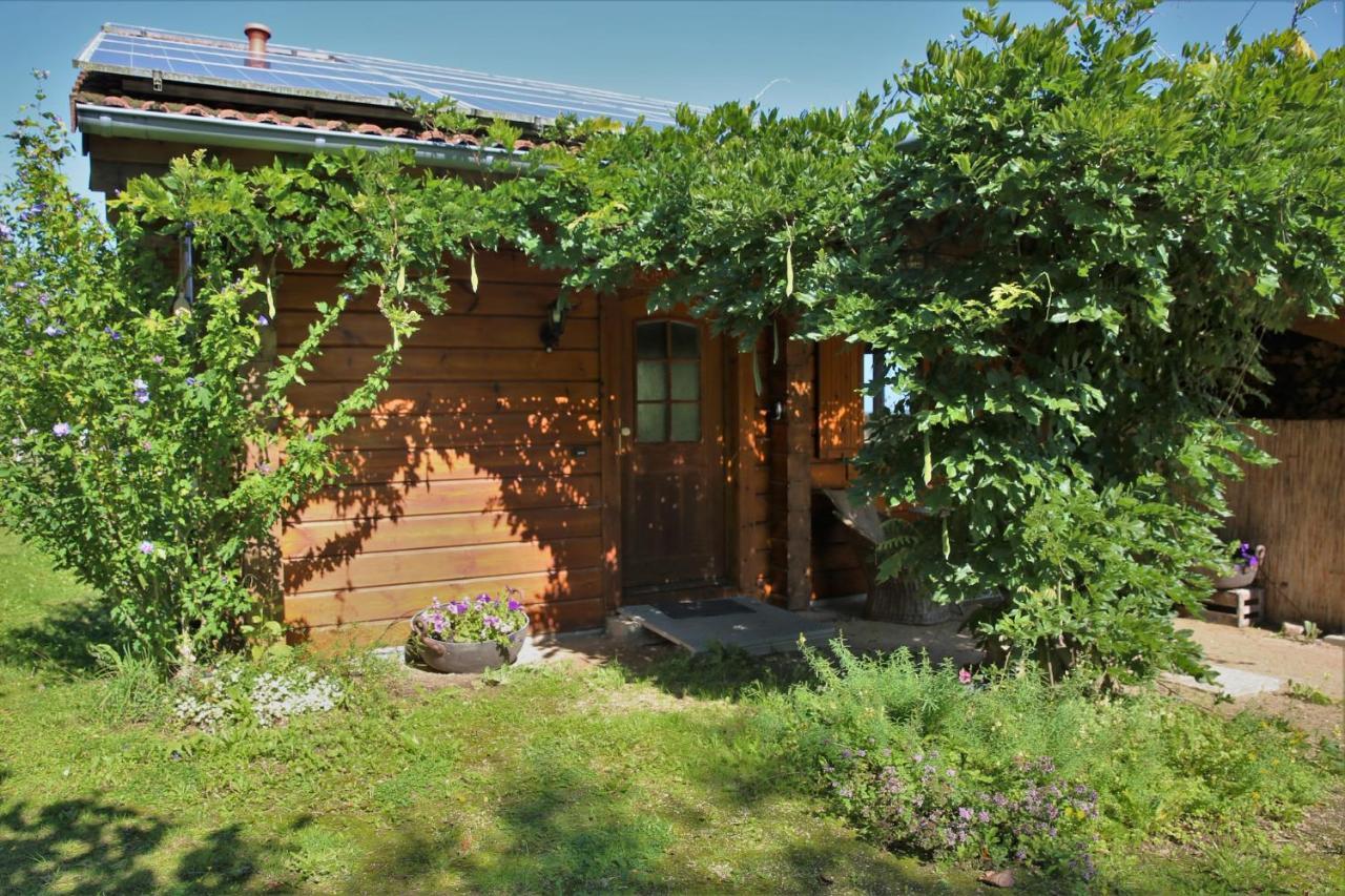 バート・ミュンスターアイフェル Norwegisches Blockhausヴィラ エクステリア 写真