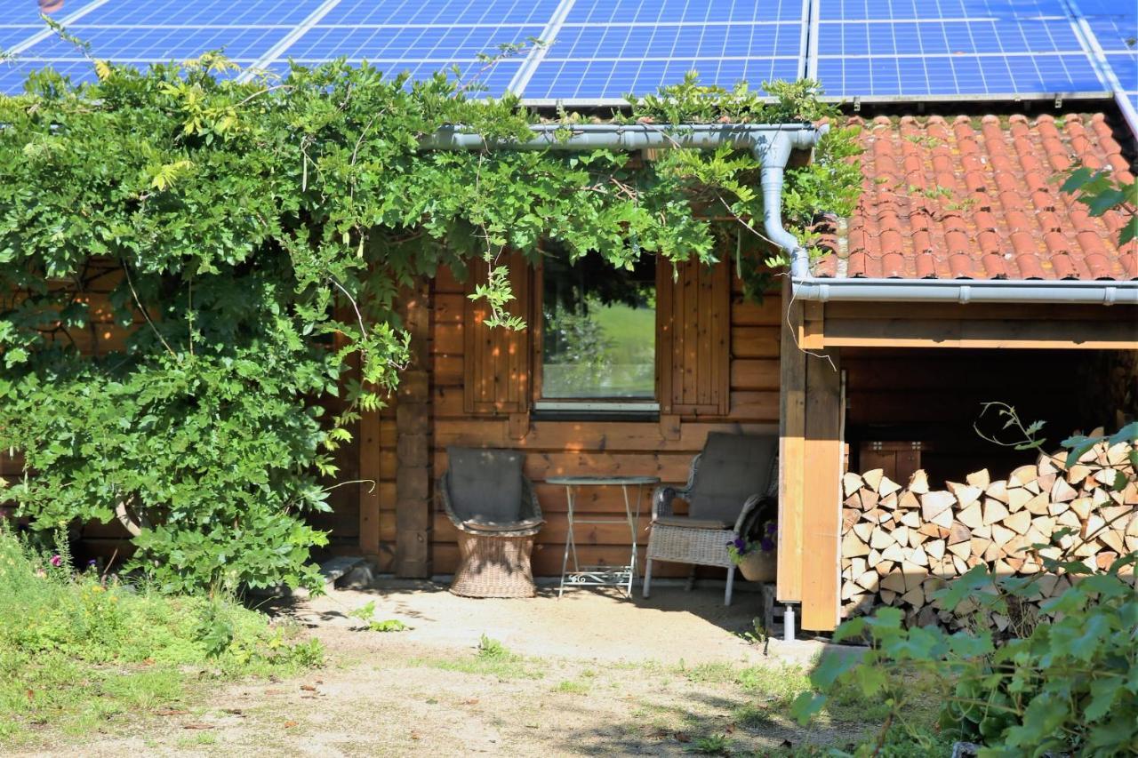バート・ミュンスターアイフェル Norwegisches Blockhausヴィラ エクステリア 写真